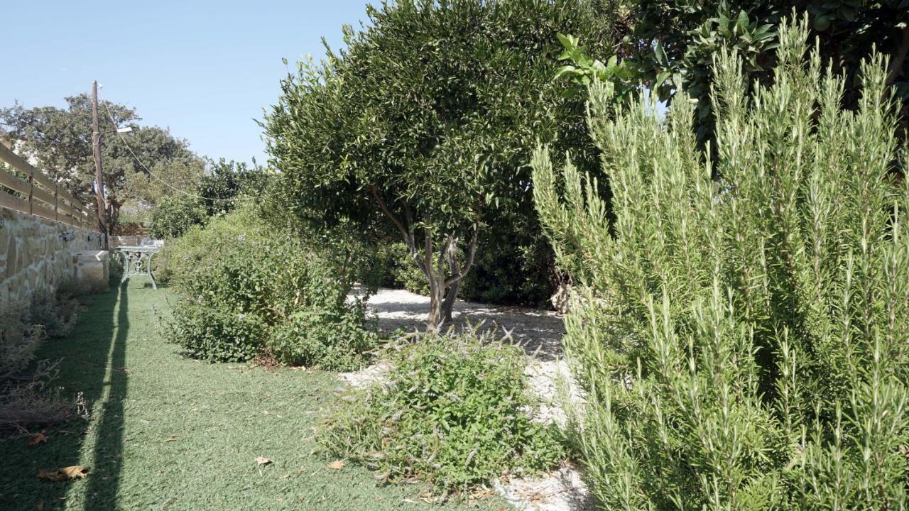 Studio Panagiota - Oasis Holiday Houses Kokkinos Pirgos Buitenkant foto